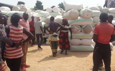 Rusizi: Abahinzi b’umuceri bavuga ko bamaze kugurisha toni 2600 gusa muri Toni zirenga 7000 bejeje