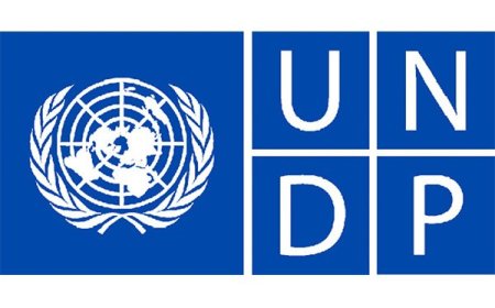 Driver at United Nations Development Programme -Rwanda | Kigali (Deadline: 27-08-2024)