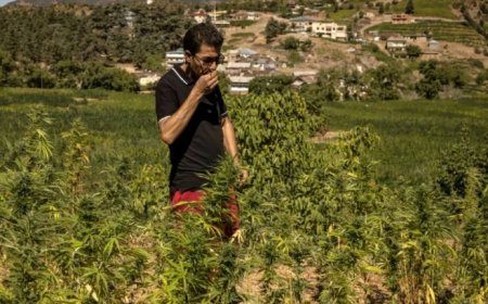 Umwami yahaye imbabazi abahinzi bari bakurikiranyweho icyaha cyo guhinga ako kumugongo w'ingona