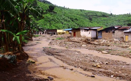 Nyabihu: Abasore n’inkumi baratabaza nyuma yuko bagowe no gushinga ingo kubera ko imisozi bakuriyemo yazahajwe n’ibiza