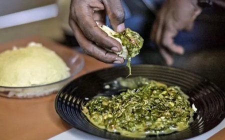 Ibigori birimo uburozi byahitanye imbwa zigera 400