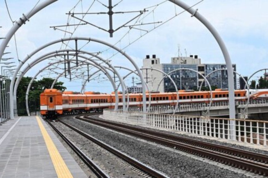 Tanzania: Byateye abantu ubwoba! Inkende n’ibihunyira byatumye Perezida adataha