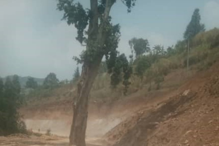 Burera: Dore Igiti cy’idasanzwe cyatumye bayobya umuhanda wa kaburimbo uri kubakwa