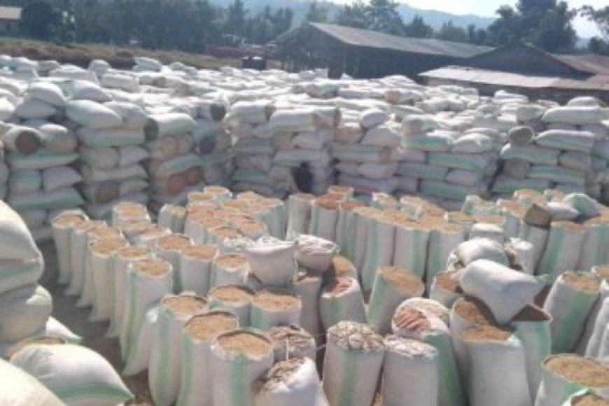 Kagame yababajwe na za Toni z’umuceri w’abahinzi b’i Rusizi waboreye mu bubiko