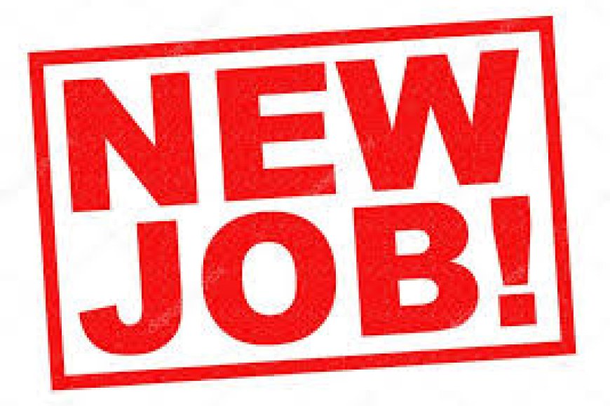 4 Job positions of Revenue Accounting Officer at Rwandair  (Deadline 18 August 2024)