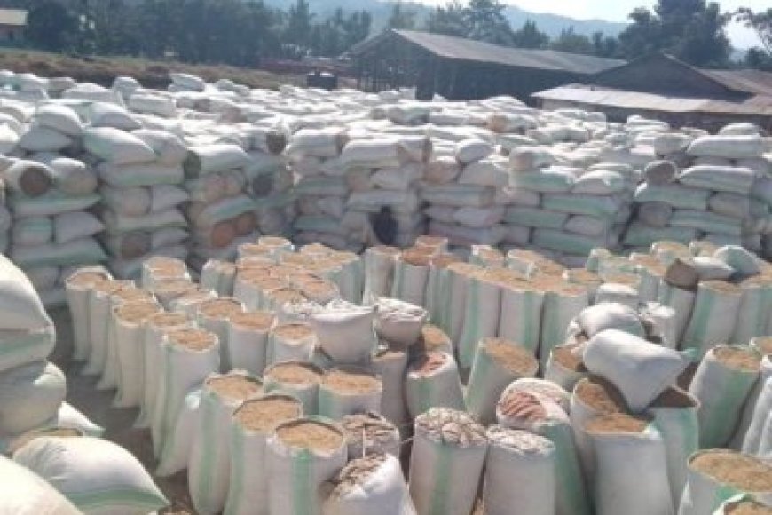 Amakuru meza ku bahinzi bo mu karere ka Rusizi bari bafite Umuceri wari waraheze ku mbuga mu Bugarama