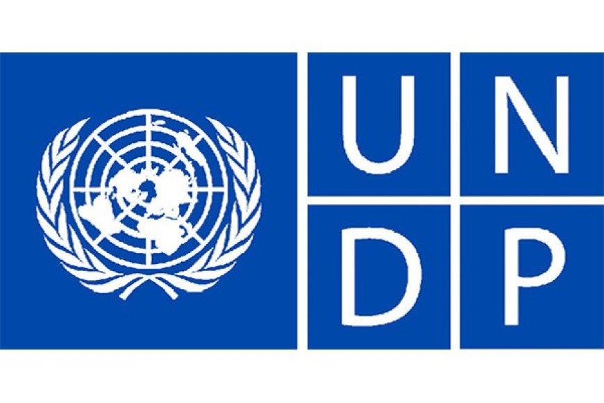 Driver at United Nations Development Programme -Rwanda | Kigali (Deadline: 27-08-2024)