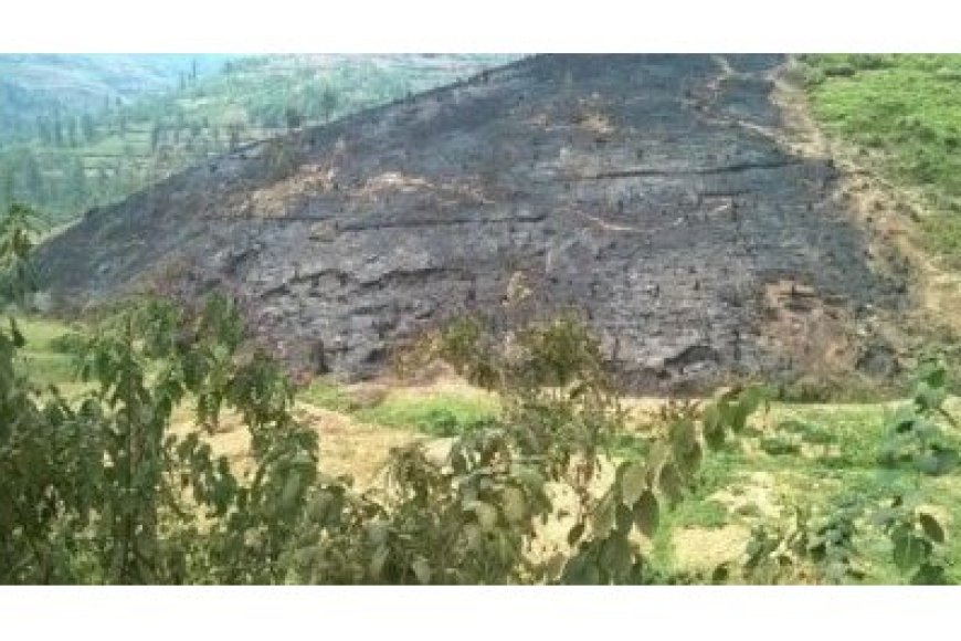 "Birabujijwe gutwika amashyamba n’inzuri kugirango haboneke ubwatsi bw'amatungo" - Polisi y’u Rwanda ikorera mu Ntara y’Iburasirazuba