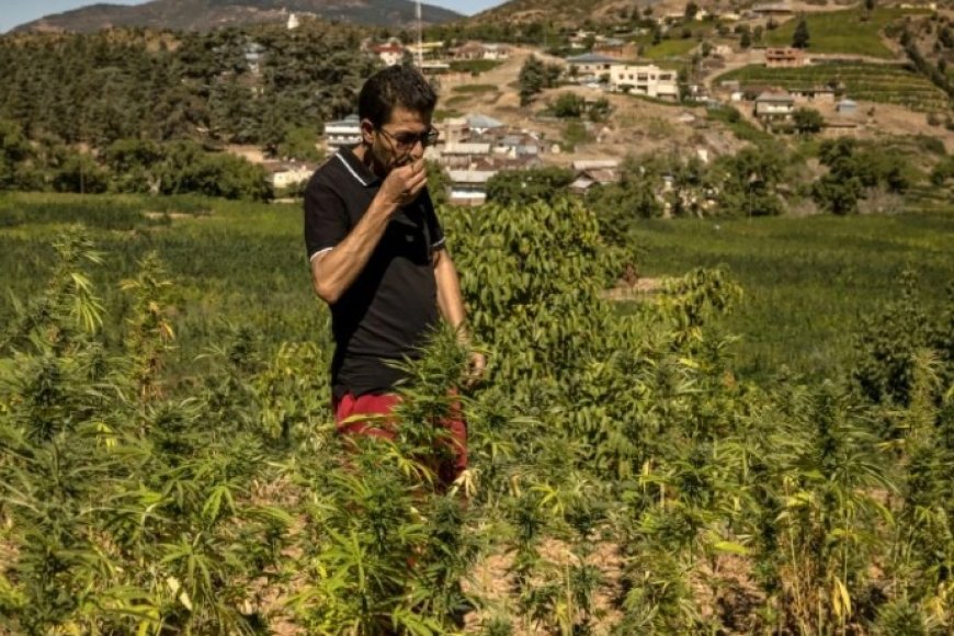 Umwami yahaye imbabazi abahinzi bari bakurikiranyweho icyaha cyo guhinga ako kumugongo w'ingona