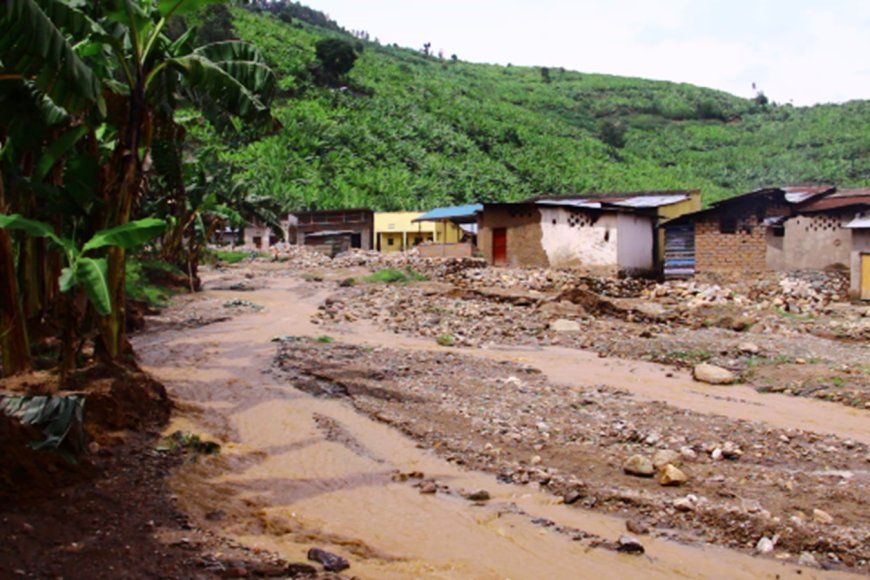 Nyabihu: Abasore n’inkumi baratabaza nyuma yuko bagowe no gushinga ingo kubera ko imisozi bakuriyemo yazahajwe n’ibiza