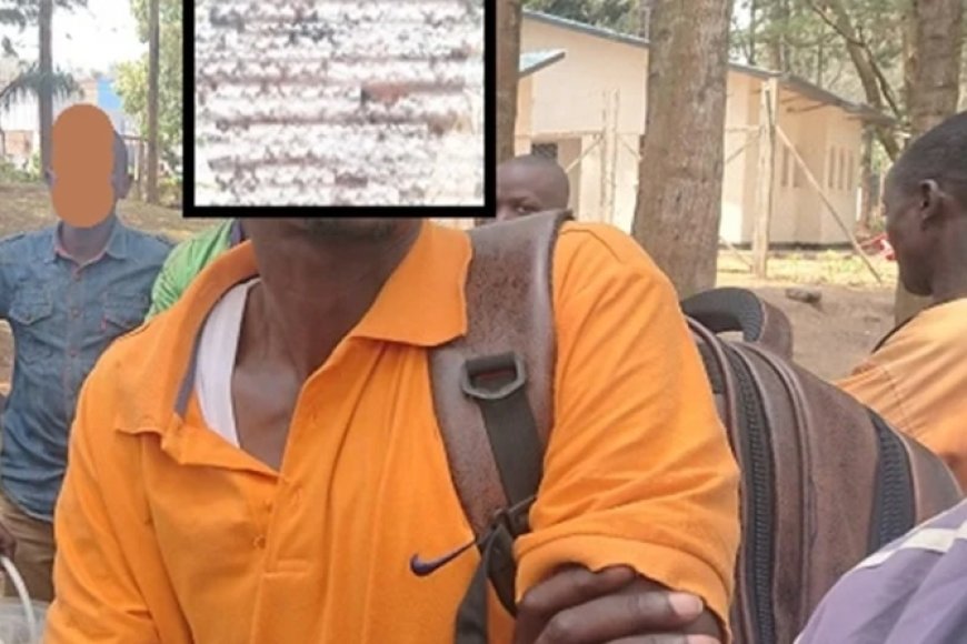 Nyagatare/Gatunda: Haravugwa inkozi z'amahano ziyitirira abakozi b’inkiko zigacucura abaturage  utwabo