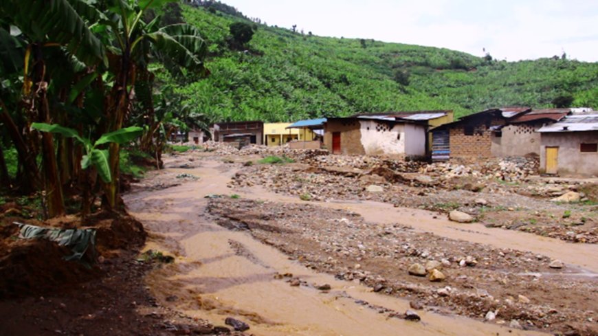 Nyabihu: Abasore n’inkumi baratabaza nyuma yuko bagowe no gushinga ingo kubera ko imisozi bakuriyemo yazahajwe n’ibiza