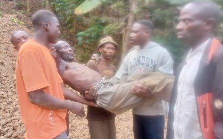 Nyamasheke: Umugabo w'imyaka 55 arembejwe no gukubitwa no gukomeretswa n’abana be bane bapfa umurima