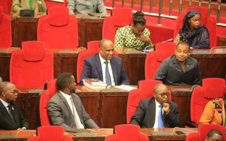 Tanzania: Abadepite barasaba ko hajyaho ibihano bikarishye ku bagabo basambanya abana bakajya bacibwa ubugabo