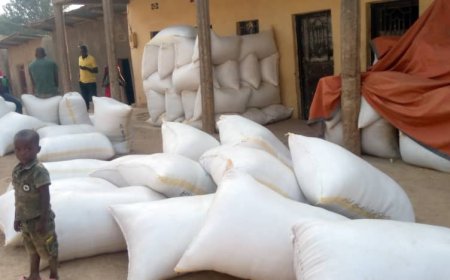 Gatsibo: Abahinzi b’umuceri baratabaza nyuma yuko bagurishije toni 2800 z’umuceri bategereza ubwishyu bagaheba