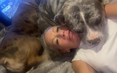 Umugore yahawe igihano gikomeye n'urukiko nyuma yo kwiba nyina miliyoni 376Frw akayakoresha ashimisha imbwa ze