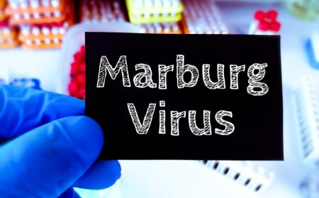 Amakuru aheruka ku cyorezo cya Marburg mu Rwanda | yatangajwe ku wa  05-10-2024