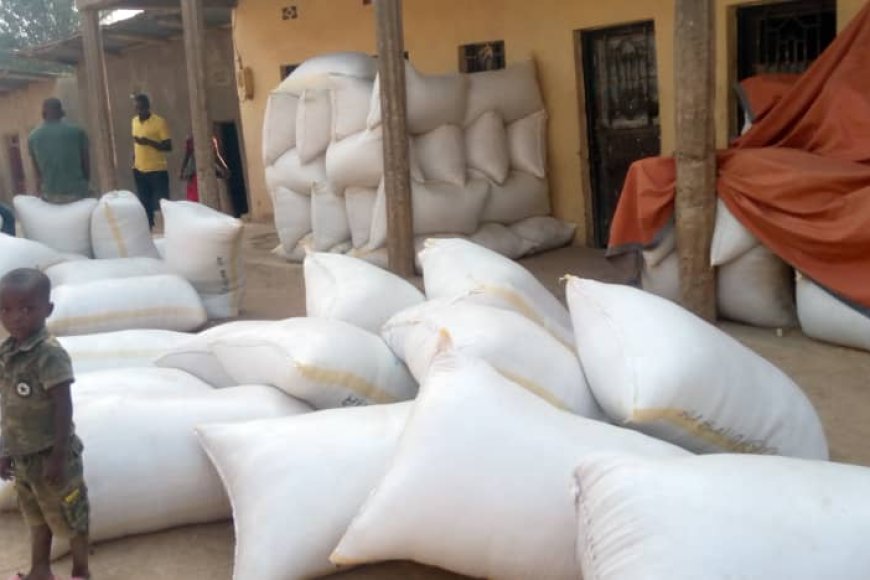 Gatsibo: Abahinzi b’umuceri baratabaza nyuma yuko bagurishije toni 2800 z’umuceri bategereza ubwishyu bagaheba