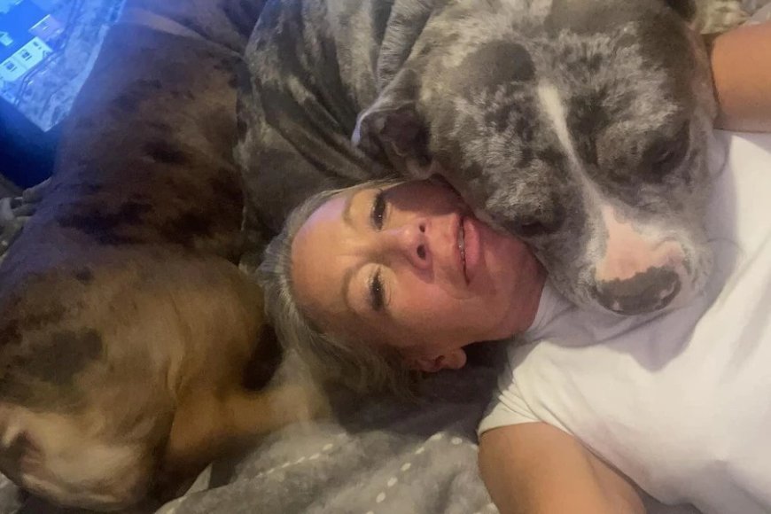 Umugore yahawe igihano gikomeye n'urukiko nyuma yo kwiba nyina miliyoni 376Frw akayakoresha ashimisha imbwa ze