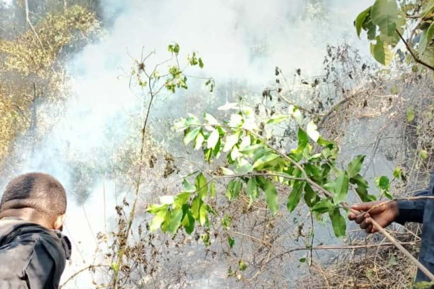 Nyamasheke: Hegitari n’igice za Pariki ya Nyungwe zafashwe n’inkongi y’umuriro abaturage baratabara