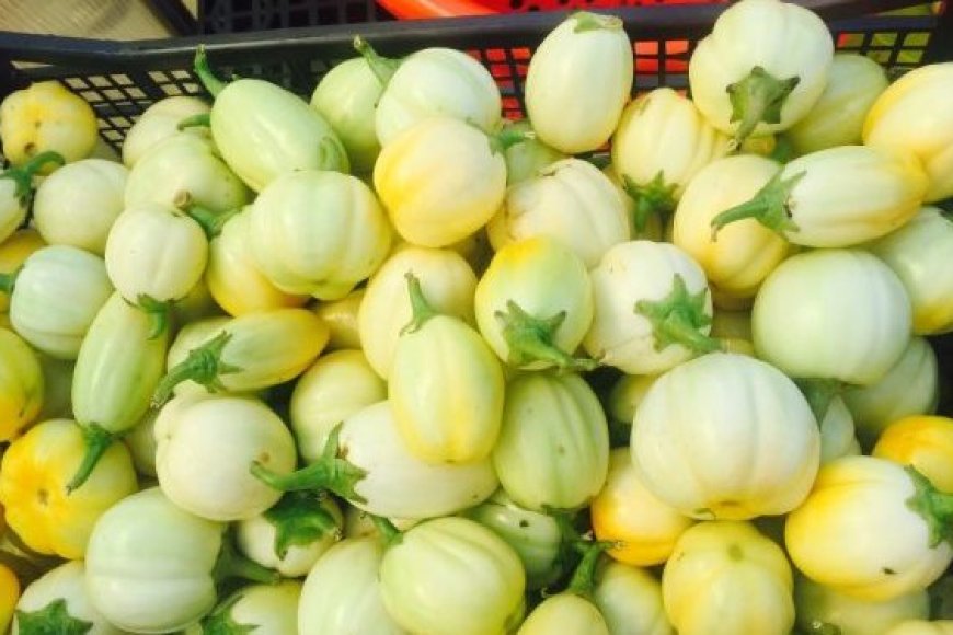 Gatsibo: Umugabo yibye intoryi baramufata baramukubita bimuviramo gupfa