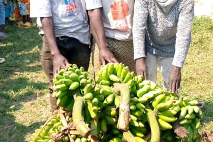 Nyamasheke: Abasore batatu bafatwanwe ibitoki bibye bari kubigurisha mu isoko