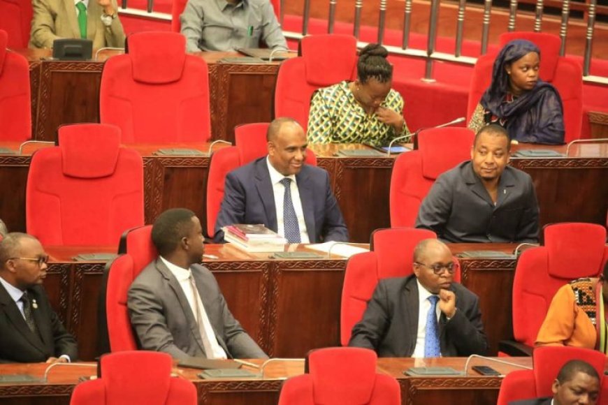 Tanzania: Abadepite barasaba ko hajyaho ibihano bikarishye ku bagabo basambanya abana bakajya bacibwa ubugabo