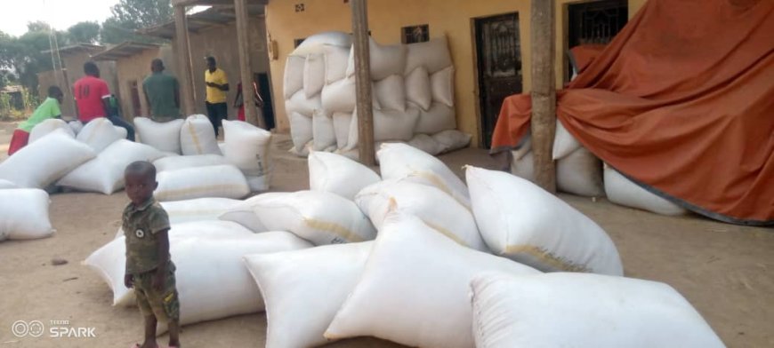 Gatsibo: Abahinzi b’umuceri baratabaza nyuma yuko bagurishije toni 2800 z’umuceri bategereza ubwishyu bagaheba