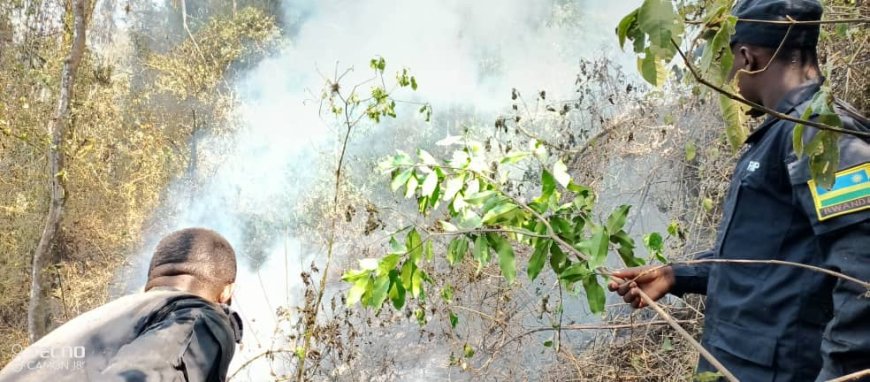 Nyamasheke: Hegitari n’igice za Pariki ya Nyungwe zafashwe n’inkongi y’umuriro abaturage baratabara