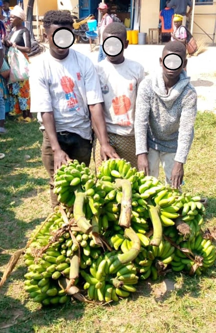 Nyamasheke: Abasore batatu bafatwanwe ibitoki bibye bari kubigurisha mu isoko
