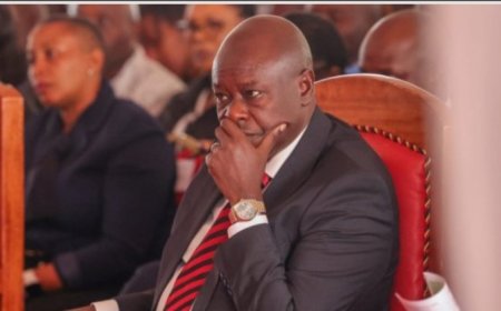 Kenya: Visi Perezida yahisemo abunganizi 20 bazamufasha mu rubanza rwo ku mweguza