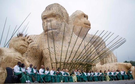 Umuhango wo kwita izina abana b'ingagi wasubitswe