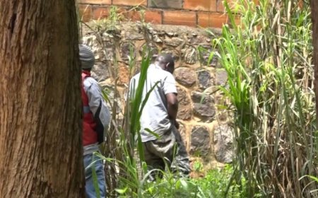 Kigali: Umuntu uzajya wihagarika ahatemewe ndetse n’abanyura mu nzira zitabugenewe mu busitani azajya acibwa amande 10000Frw