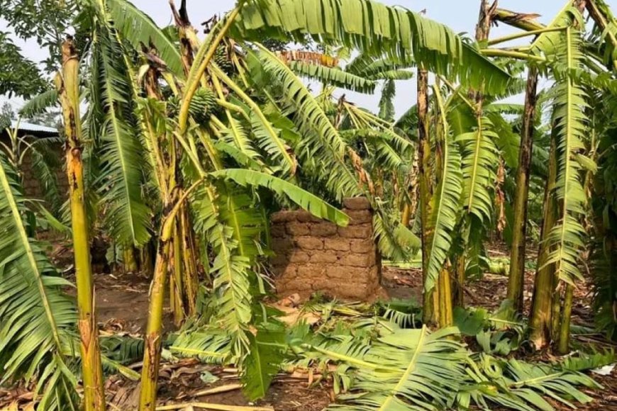 Ikigo cy’u Rwanda gishinzwe Ubumenyi bw’Ikirere (Meteo Rwanda) cyatangaje ko hateganyijwe umuyaga mwinshi mu bice bitandukanye by’Igihugu