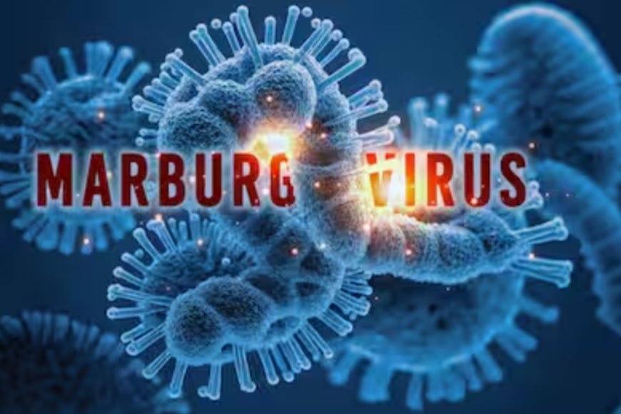 Amakuru aheruka ku cyorezo cya Marburg mu Rwanda | yatangajwe ku wa 07-10-2024