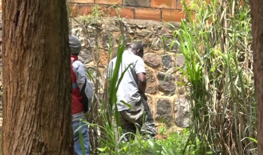 Kigali: Umuntu uzajya wihagarika ahatemewe ndetse n’abanyura mu nzira zitabugenewe mu busitani azajya acibwa amande 10000Frw