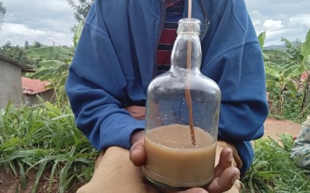 Rutsiro: Abagore baratabaza nyuma yuko bahozwa ku nkeke n’abagabo babo banywa inzoga z’ibitoki zivanze n’ibyuma