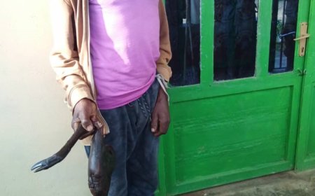 Rusizi: RIB yataye muri yombi uwafatanywe inyama y’ifumberi yishe muri Nyungwe