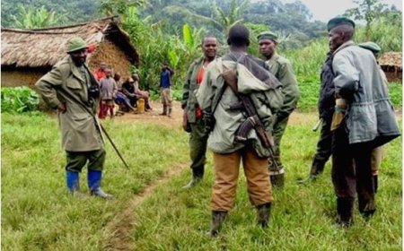 Bamwe mu barwanyi ba FDLR bishyikirije inzego z’umutekano mu Rwanda
