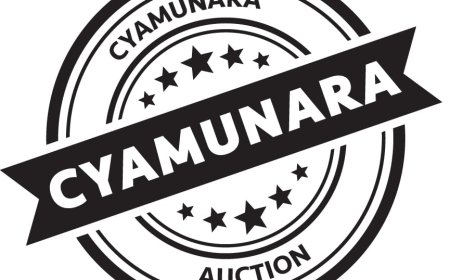 Itangazo rya cyamunara y’inzu izaba tariki 20/01/2025- 27/01/2025