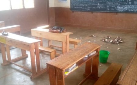 Rusizi: Abanyeshuri barakekwaho kugerageza  kuroga bagenzi babo bigana, bakoresheje umuti wica imbeba