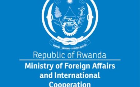 STATEMENT ON SITUATION IN EASTERN DRC