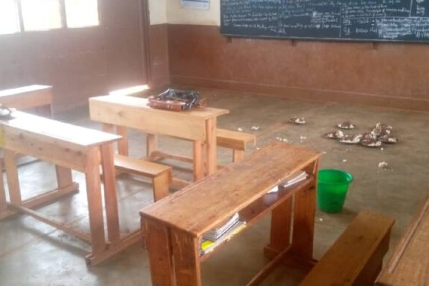 Rusizi: Abanyeshuri barakekwaho kugerageza  kuroga bagenzi babo bigana, bakoresheje umuti wica imbeba