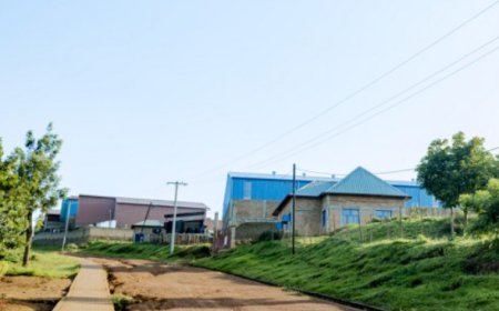 Yasaga n’ivomera mu kiva- Inganda eshatu Leta yashoragamo akayabo zigiye gushyirwa ku isoko