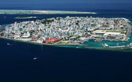 Iceland ni cyo gihugu rukumbi ku isi kitagira imibu