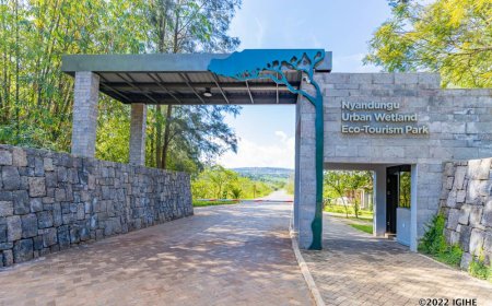 Ishema ku Rwanda: Pariki ya Nyandungu yatsindiye igihembo mpuzamahanga kubera ubudasa bwayo