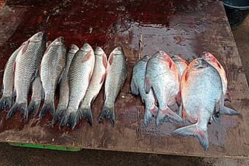 Dore  ibintu byingenzi wakora mugihe uhagamwe n'amahwa dusanga mumafi