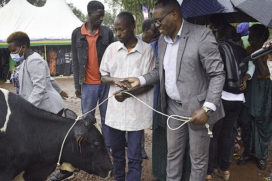 Rulindo: Imiryango 40 Yahawe Inka zitanga umukamo