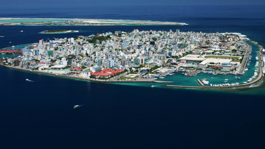 Iceland ni cyo gihugu rukumbi ku isi kitagira imibu