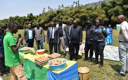 Rulindo: Hizihijwe Umuganura Hamurikwa Umusaruro w'ubuhinzi n'ubworozi.